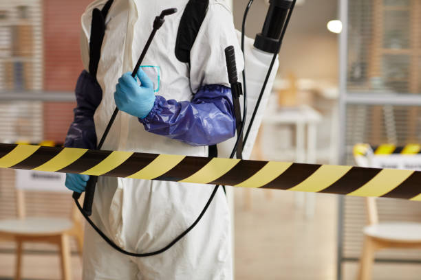 Professional Biohazard technician working in Hill, NH